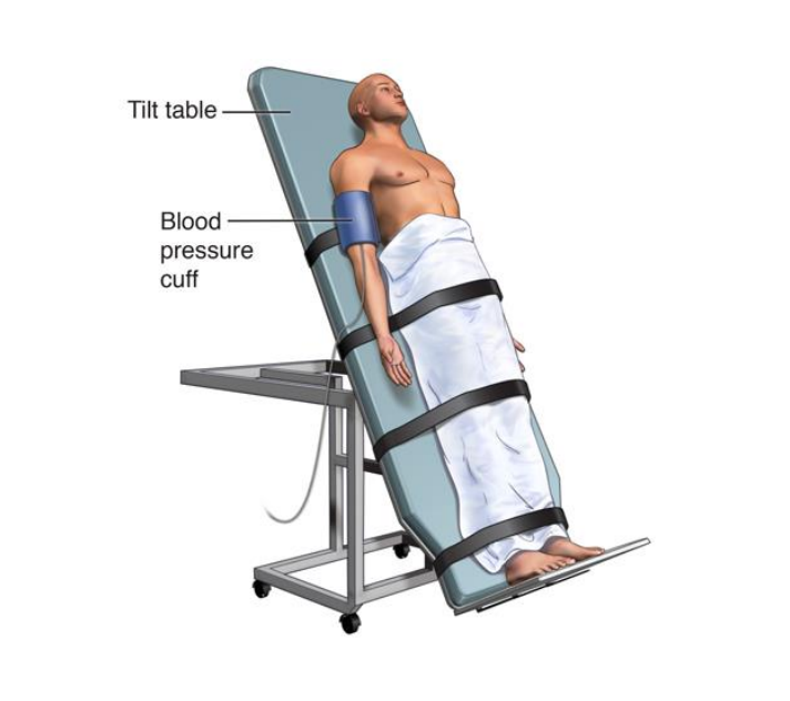 What Is A Tilt Table Test Infoupdate What Is A Tilt Table Test Infoupdate
